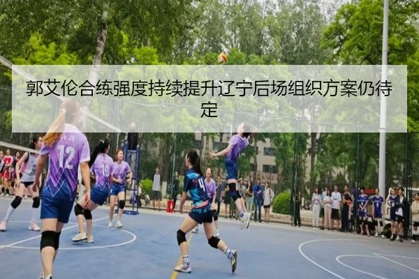 郭艾伦合练强度持续提升辽宁后场组织方案仍待定